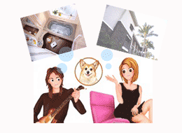 �C���[�W�ʐ^3